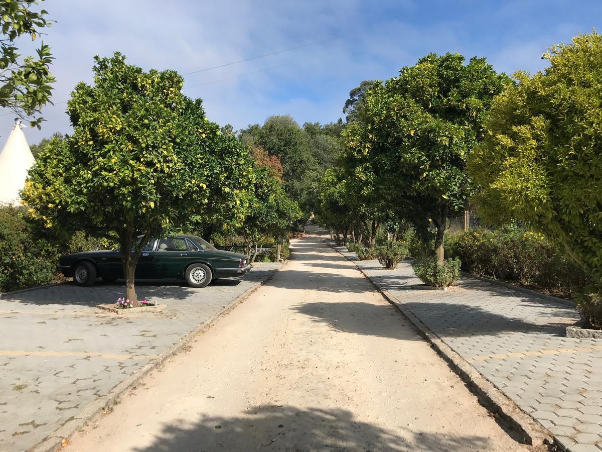 Gasthaus Quinta Da Fontoura Alquerubim Exterior foto